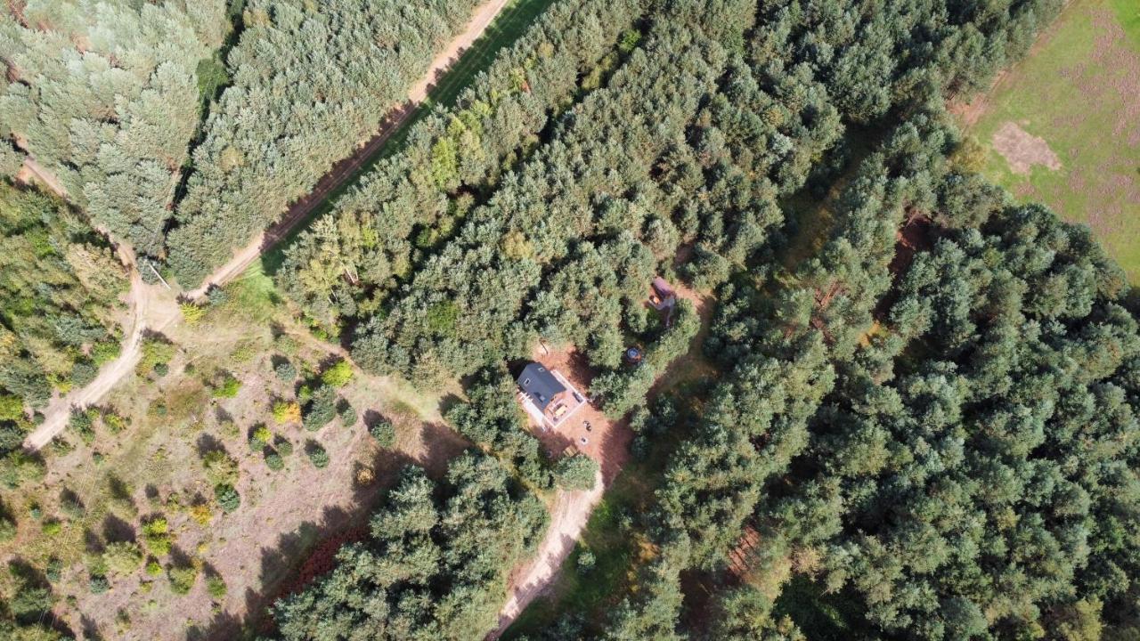Czarna  Dziupla Houseヴィラ エクステリア 写真