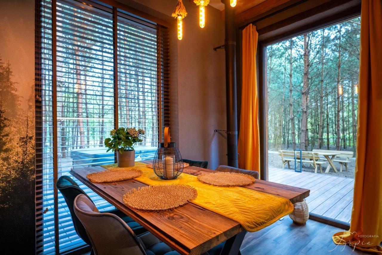 Czarna  Dziupla Houseヴィラ エクステリア 写真