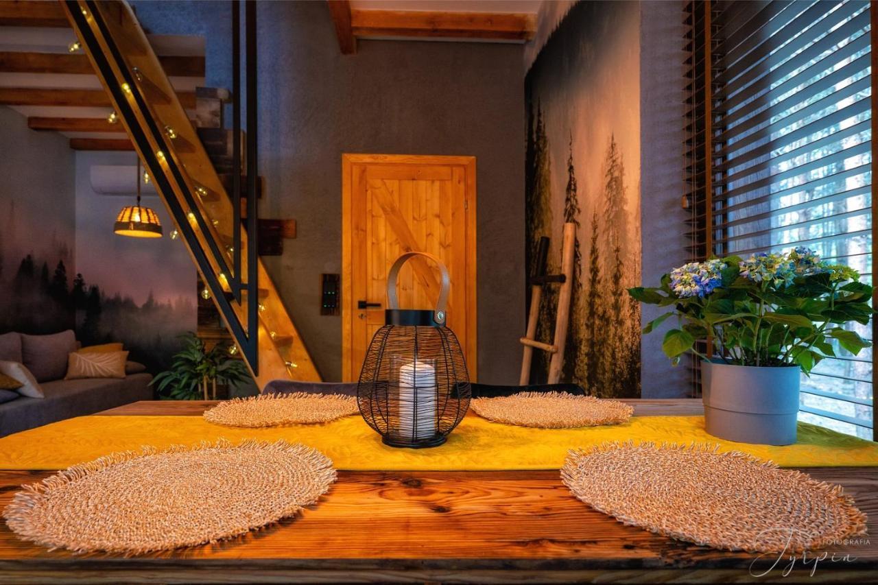 Czarna  Dziupla Houseヴィラ エクステリア 写真