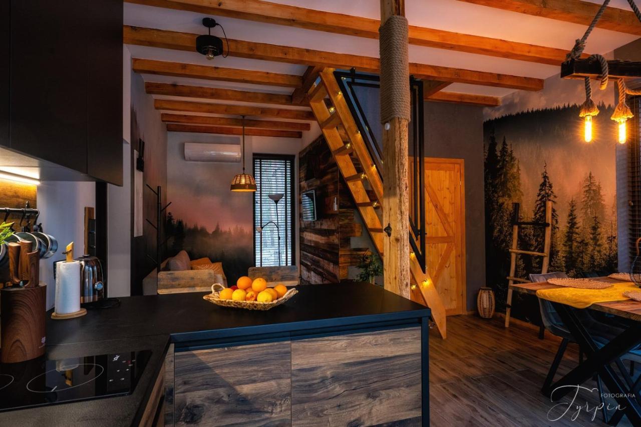 Czarna  Dziupla Houseヴィラ エクステリア 写真