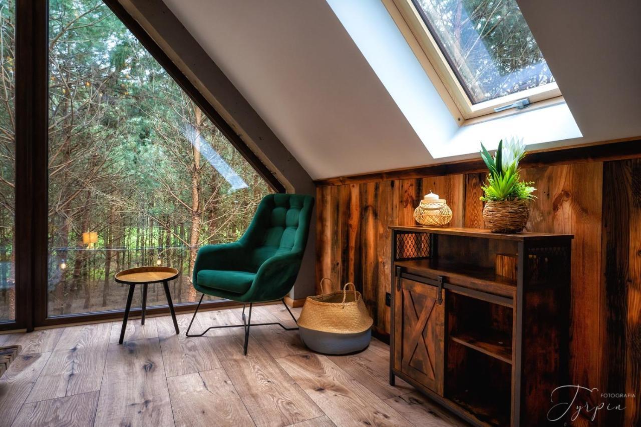 Czarna  Dziupla Houseヴィラ エクステリア 写真