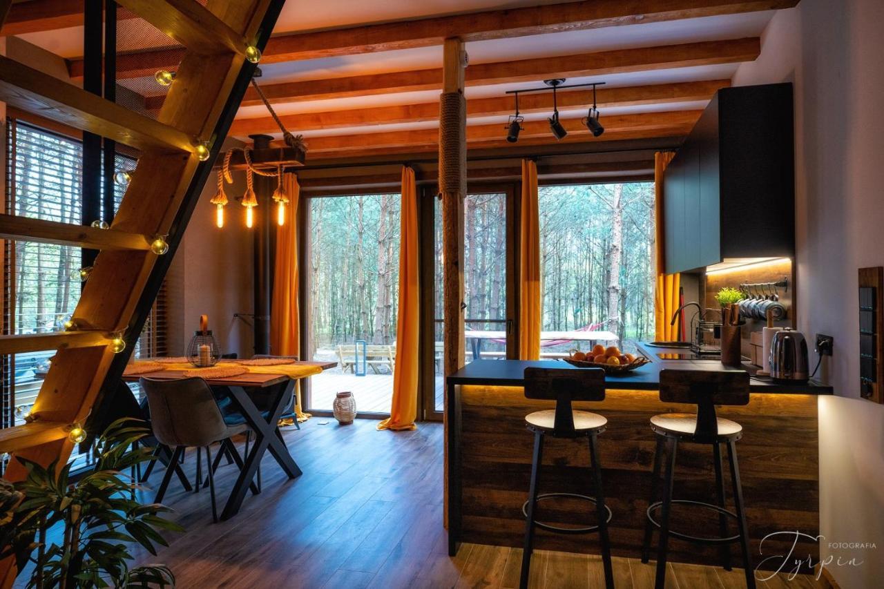 Czarna  Dziupla Houseヴィラ エクステリア 写真